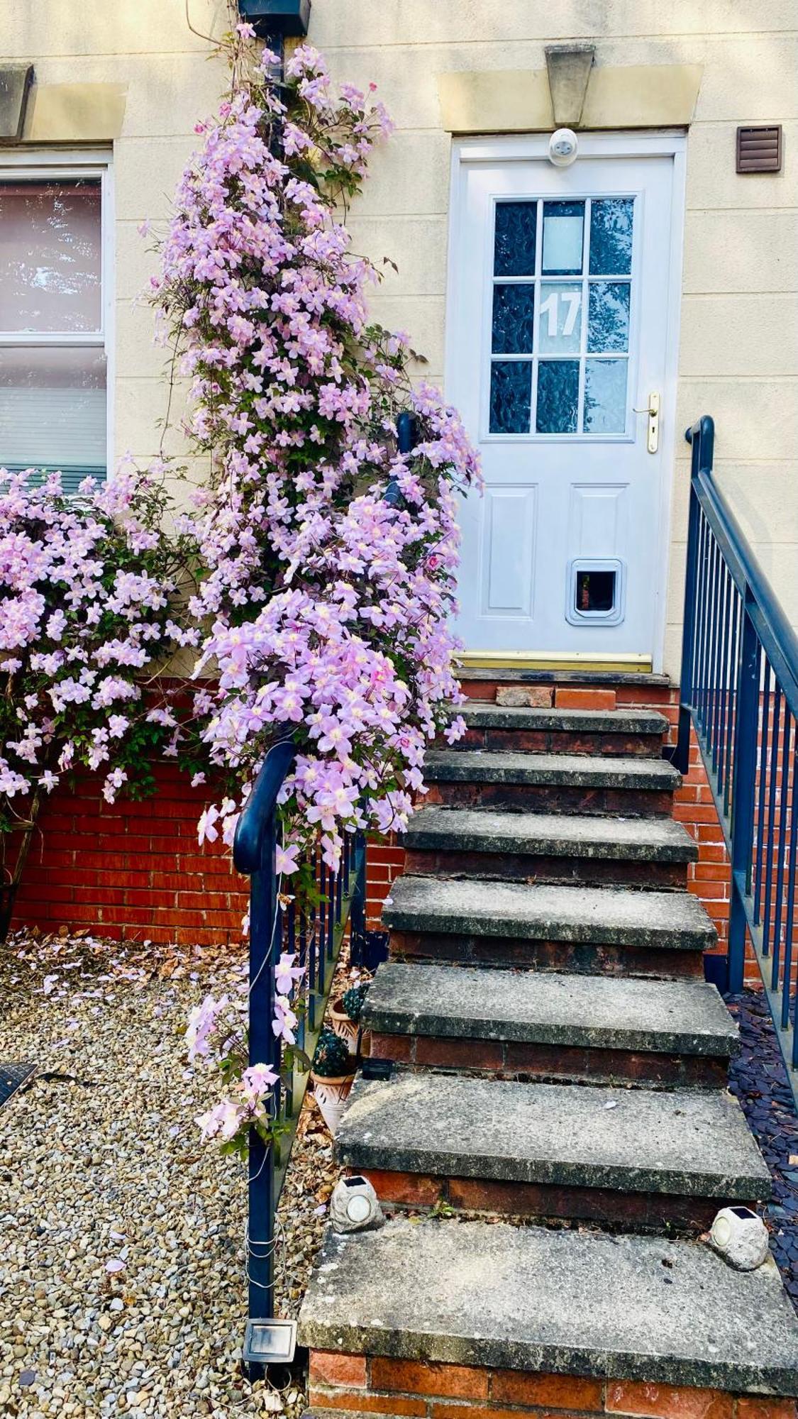 Modern Ground Floor Apartment With Free Parking Very Near Centre Ripon Esterno foto